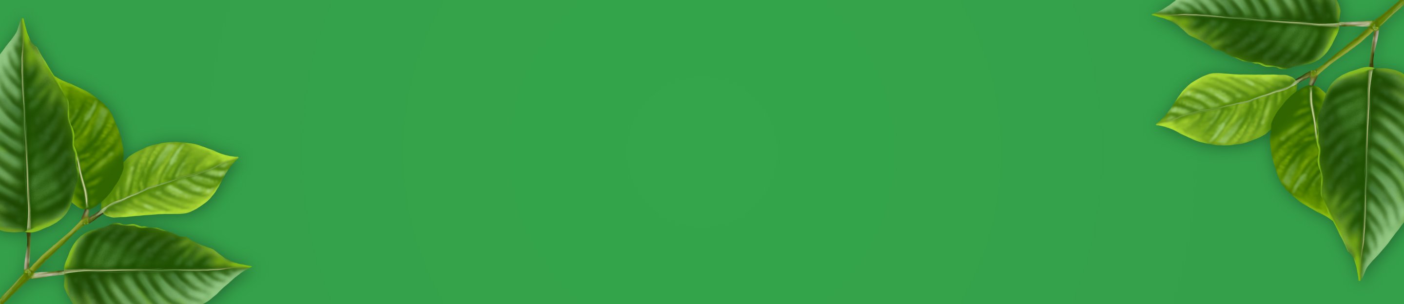 Check out our Newest Products Happy Hippo Herbals