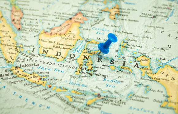 The Ultimate Guide to Kratom Strains