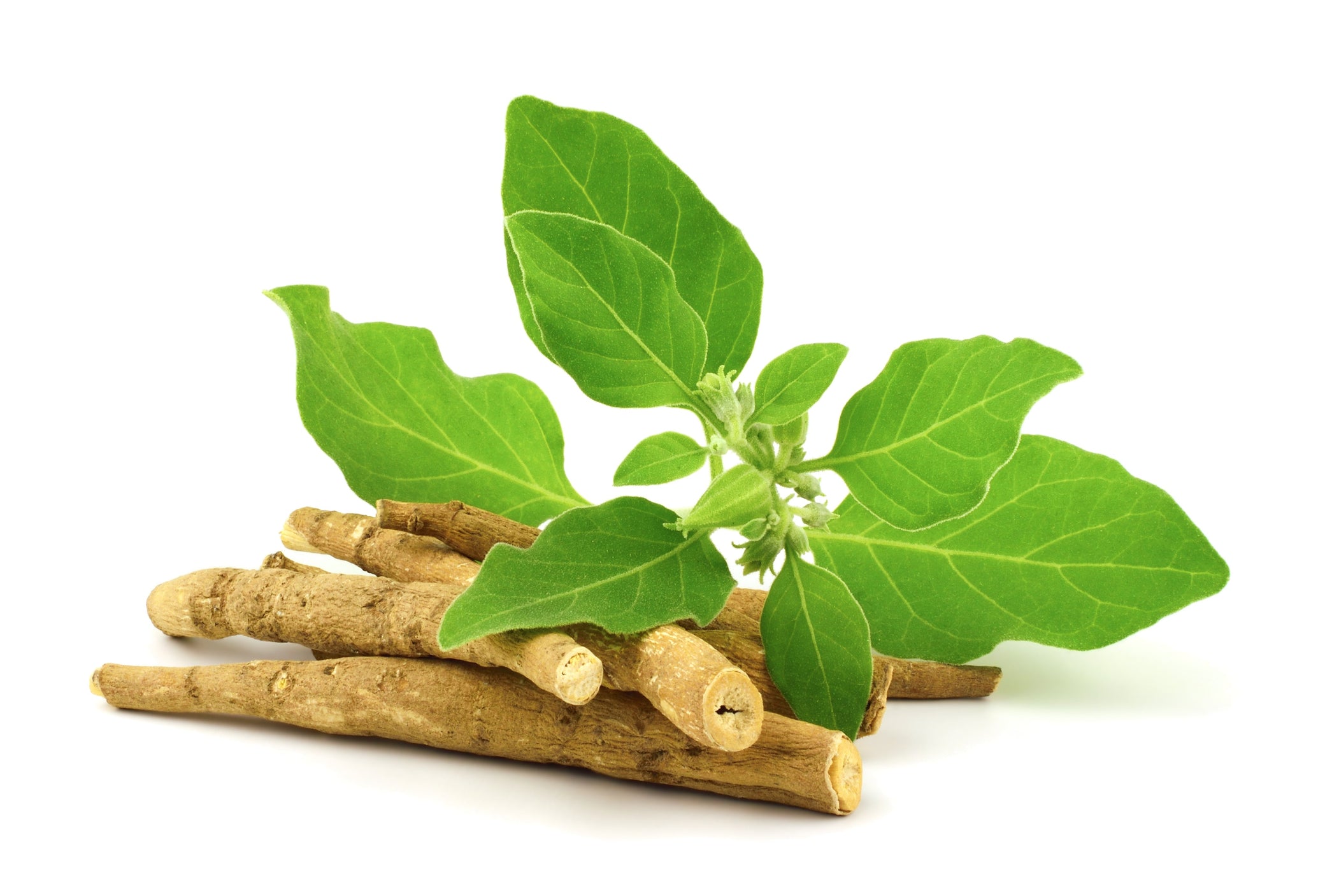 How Ashwagandha Tea May Improve Your Health