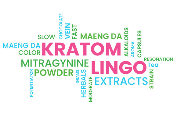 Featured image depicting a word cloud containing numerous Kratom-based keywords in cool colors like blue and green; At the center of the word cloud can be read "Kratom Lingo" in bright pink lettering, indicating the title of the article.