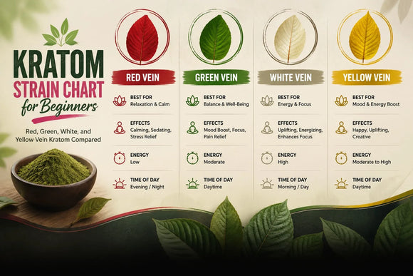Kratom Strain Chart For Beginners