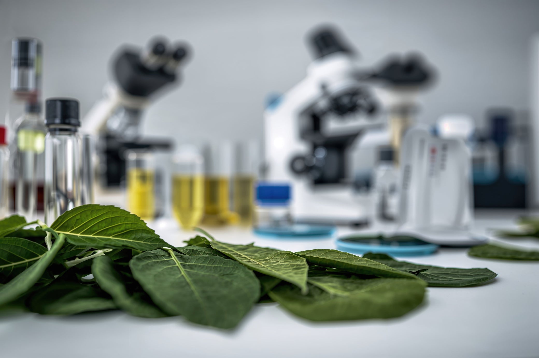 DEA Moves to Schedule Synthetic 7-OH: What It Means for Kratom Consumers