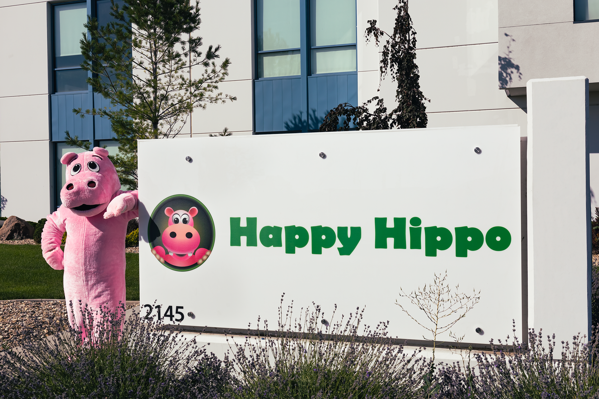 Featured Image depicting Puddles the Hippo character standing next to the sign in front of the Happy Hippo building.