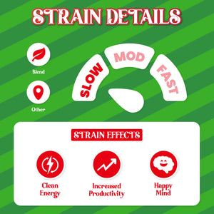 Christmas Bali Hippo