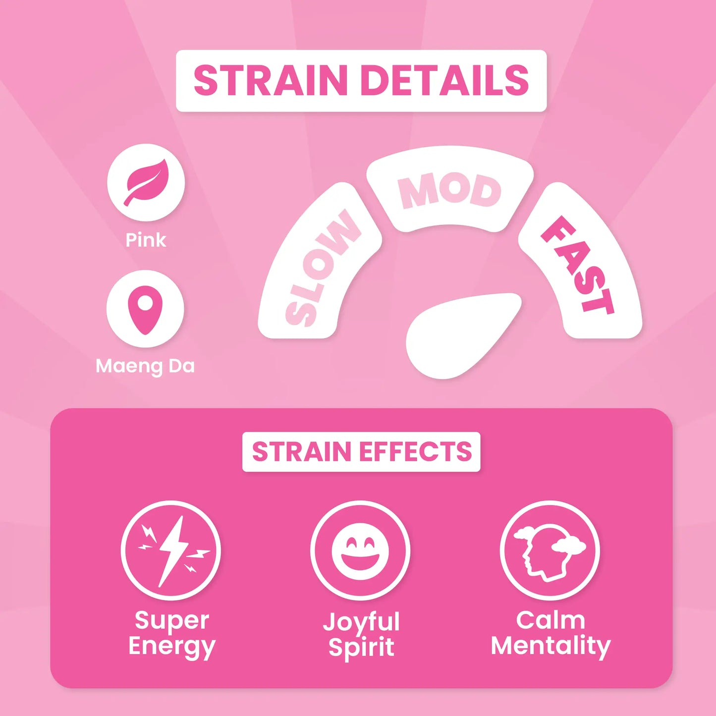 Tickle Me Pink Hippo