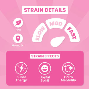 Tickle Me Pink Hippo