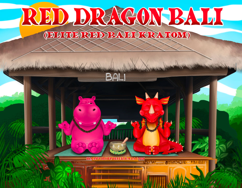 Graphic Designed image depicting Puddles the Hippo meditating with a friend beneath a tropical hut, while using red bali kratom powder (Red Dragon Bali)