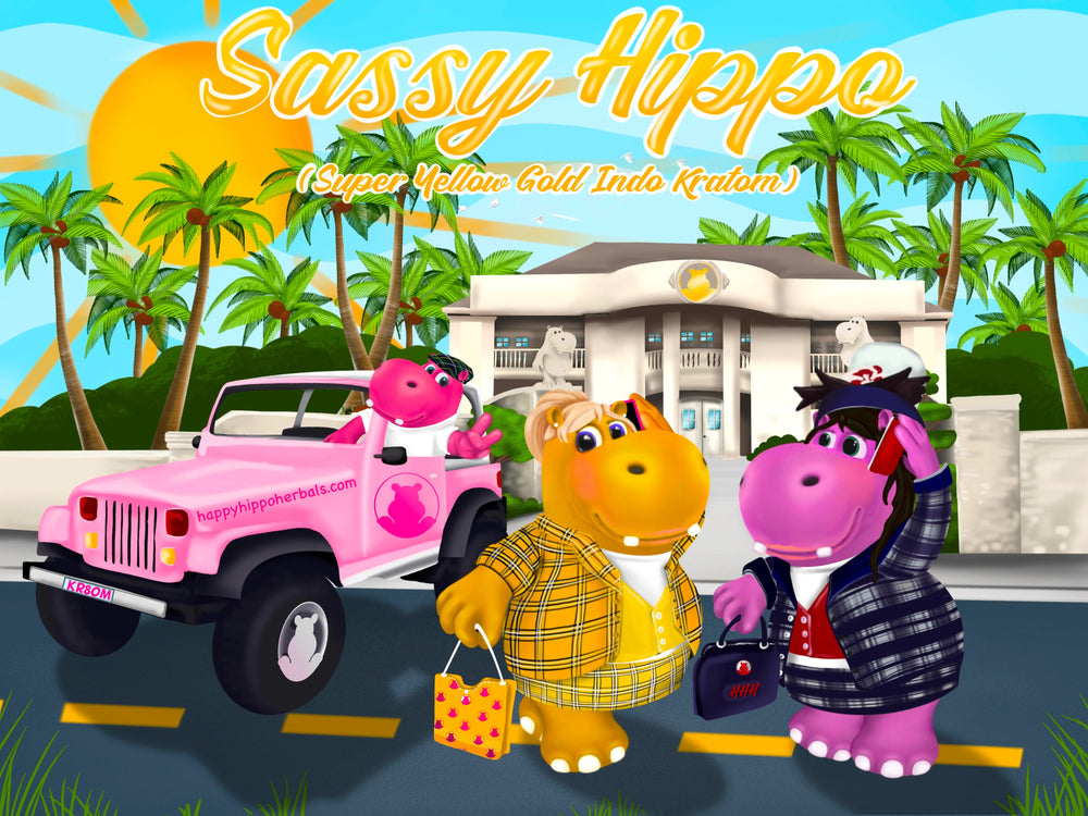 Graphic designed image depicting Puddles the Hippo feeling the pro social kratom effects with a couple of hippo friends while using Yellow Indo Kratom Powder (Sassy Hippo)