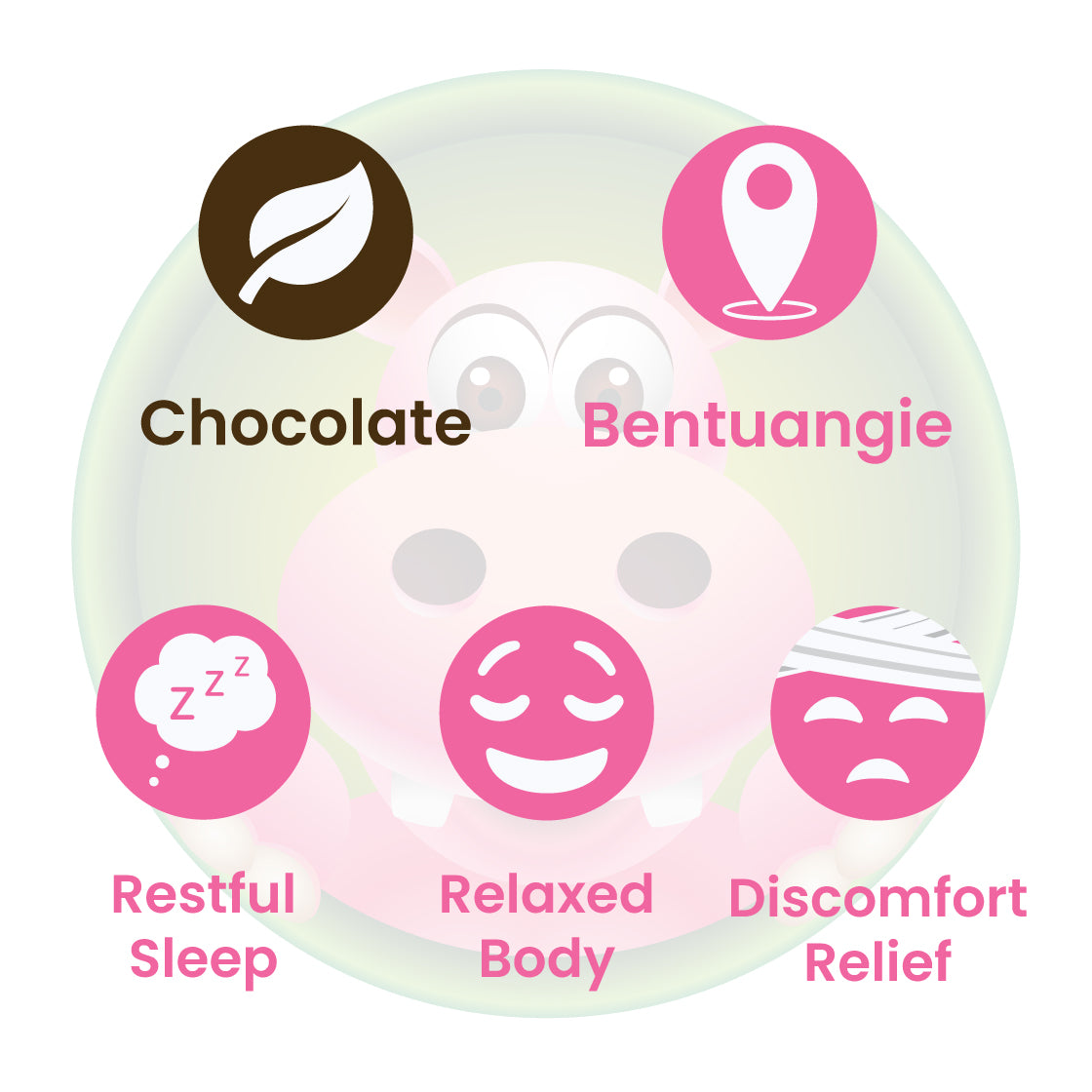 Infographic Details for Happy Hippo Chocolate Bentuangie Kratom Powder. Leaf color: Chocolate (fermented). Kratom Strain Origin: Bentuangie. Kratom Effects resonate with Restful Sleep, Relaxed Body, Discomfort Relief..