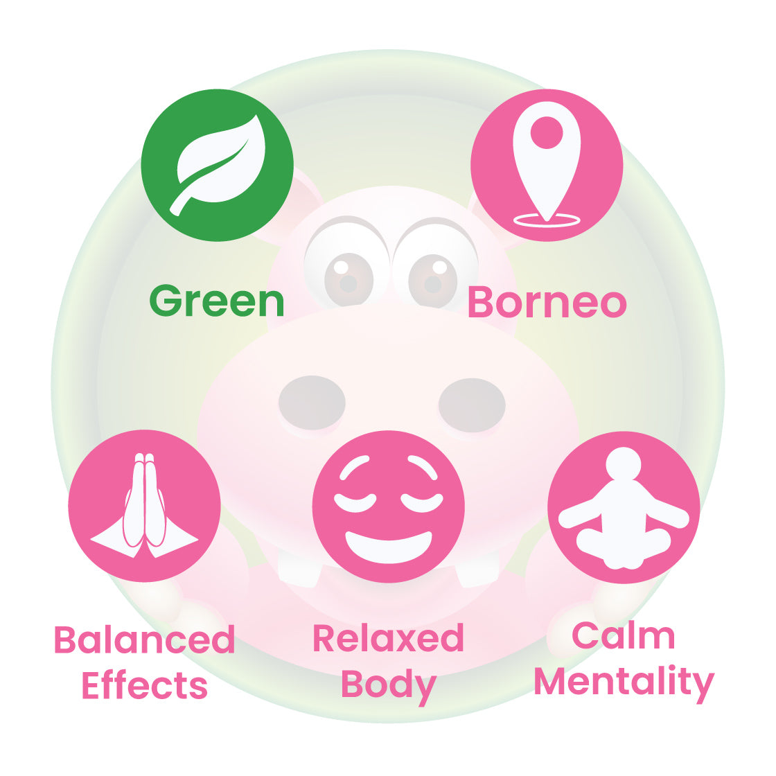 Infographic Details for Happy Hippo Green Vein Borneo Kratom Powder. Leaf color: Green Vein. Kratom Strain Origin: Borneo. Kratom Effects resonate with a balanced effects, relaxed body, and calm mentality.