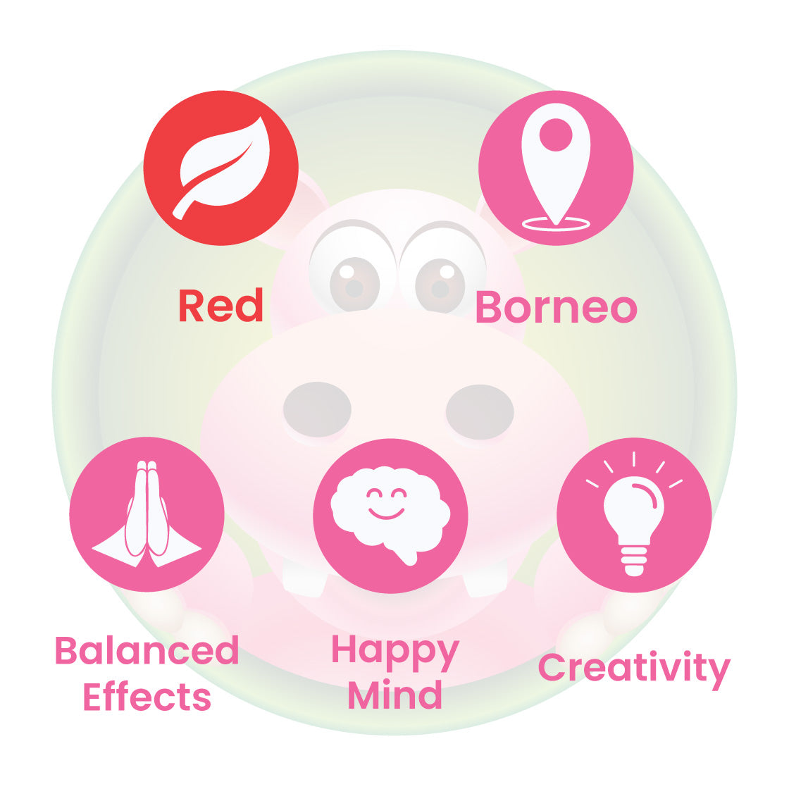 Infographic Details for Happy Hippo Red Vein Borneo Kratom Powder. Leaf color: Red Vein. Kratom Strain Origin: Borneo. Kratom Effects resonate with Balanced Effects, Creativity, and Happy Mind.