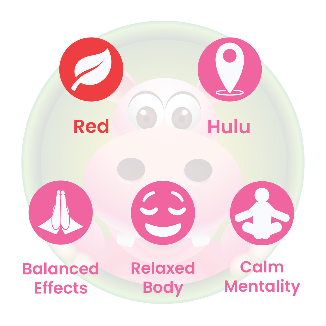 Infographic Details for Happy Hippo Red Vein Hulu Kratom Powder. Leaf color: Red Vein. Kratom Strain Origin: Hulu. Kratom Effects resonate with Balanced Effects, Relaxed Body, and Calm Mentality.