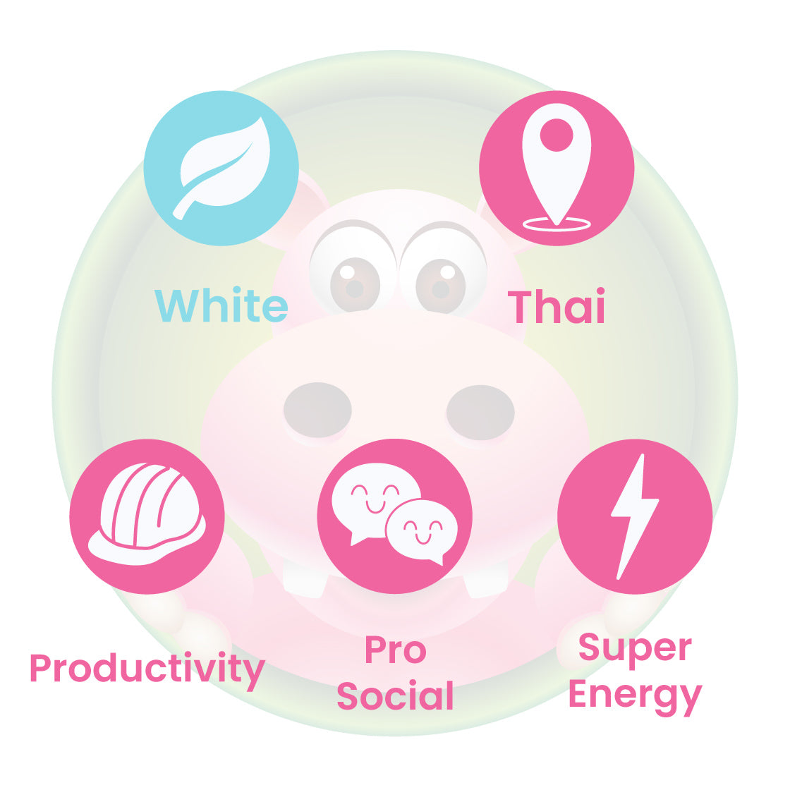 Infographic Details for Happy Hippo White Vein Thai Kratom Powder. Leaf color: White Vein. Kratom Strain Origin: Thai. Kratom Effects resonate with Pro-Social, Super Energy, and Increased Productivity.