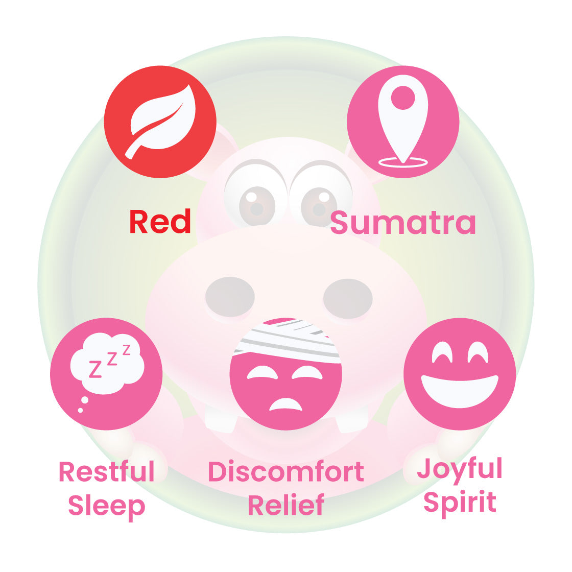 Infographic Details for Happy Hippo Red Vein Sumatra Kratom Powder. Leaf color: Red Vein. Kratom Strain Origin: Sumatra. Kratom Effects resonate with Restful Sleep, Joyful Spirit, and Relief From Physical Discomfort.