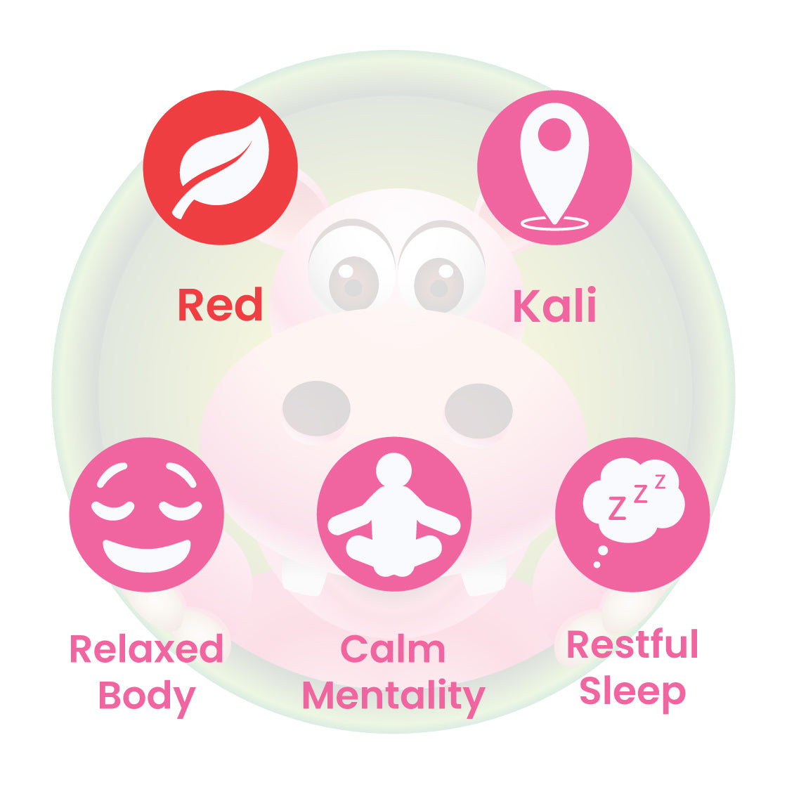 Infographic Details for Happy Hippo Red Vein Kali Kratom Powder. Leaf color: Red Vein. Kratom Strain Origin: Kali. Kratom Effects resonate with Restful Sleep, Calm Mentality, and Physical Relaxation.