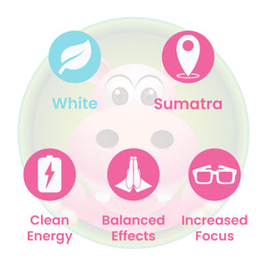 Infographic Details for Happy Hippo Roaring White Sumatra Kratom Powder. Leaf color: White Vein. Kratom Strain Origin: Sumatra. Kratom Effects resonate with Clean Energy, Balanced Effects, and Increased Focus.