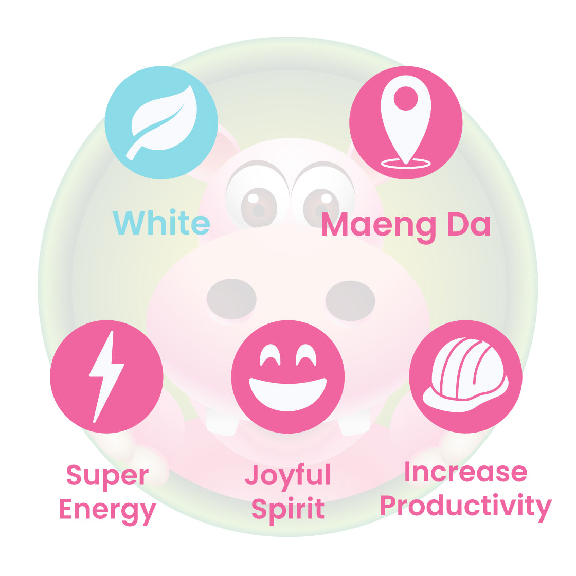 Infographic Details for Happy Hippo White Vein Maeng Da Kratom Powder. Leaf color: White Vein. Kratom Strain Origin: Maeng Da. Kratom Effects resonate with Focus, Workout Boost, and Super Energy.