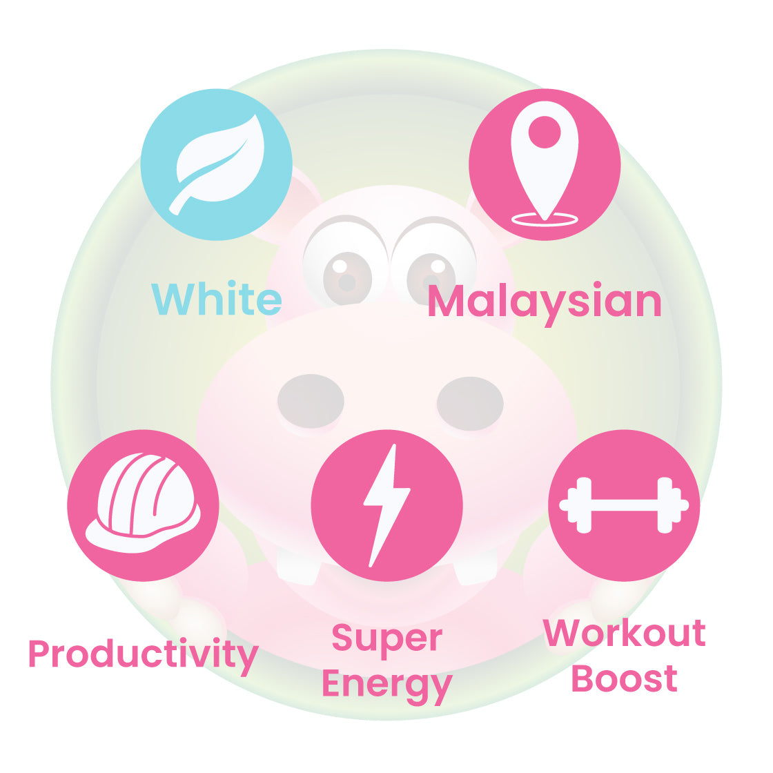 Infographic Details for Happy Hippo White Vein Malay Kratom Powder. Leaf color: White Vein. Kratom Strain Origin: Malay. Kratom Effects resonate with Super Energy, Workout Boost, and Productivity.