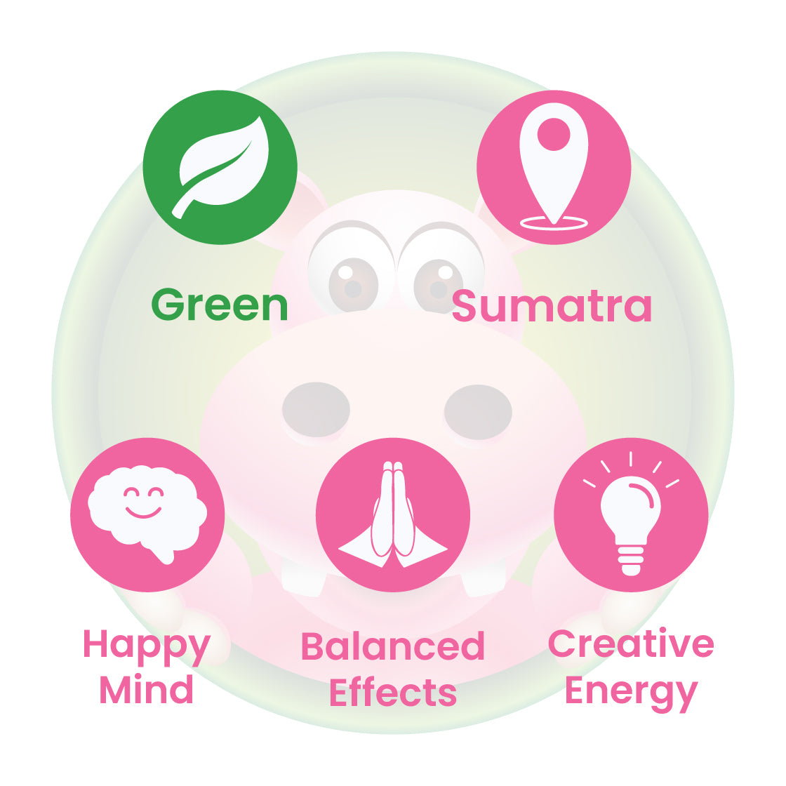 Infographic Details for Happy Hippo Green Vein Sumatra Kratom Powder. Leaf color: Green Vein. Kratom Strain Origin: Sumatra. Kratom Effects resonate with Happy Mind, Balanced Effects, Creative Energy.